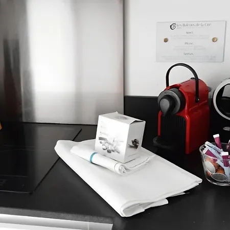 Les Du Saint Nazaire, Vue Panoramique Sur La Cite Medievale - Les Balcons De La Cite * Carcassonne